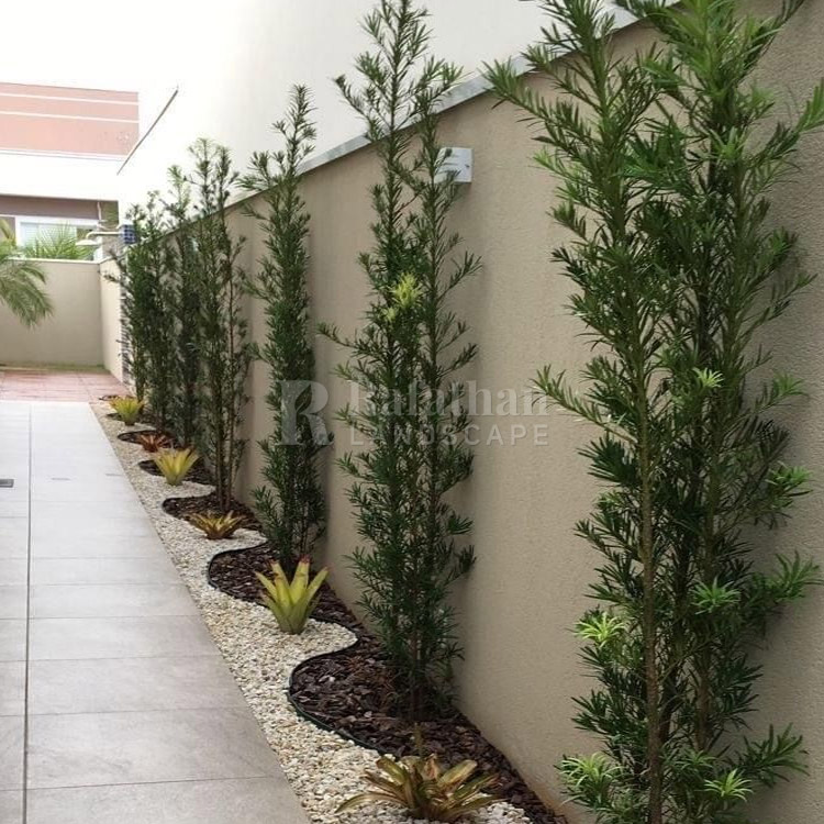 Tukang Taman Bintaro